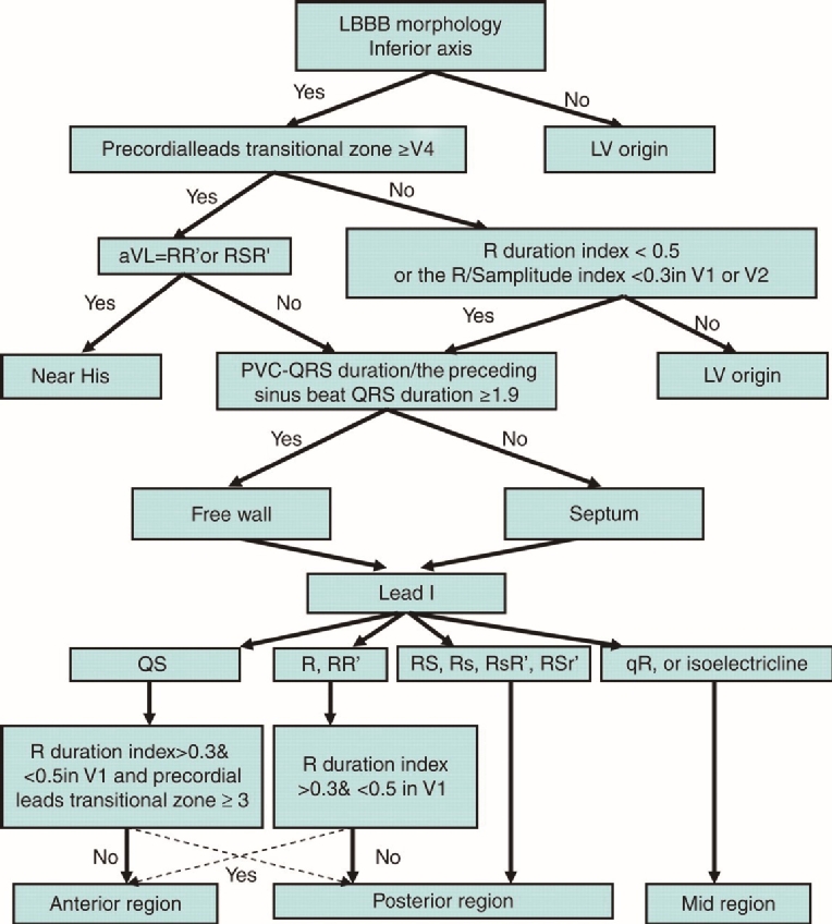 Ventricular extrasystoles in athletes what can be learned from the
